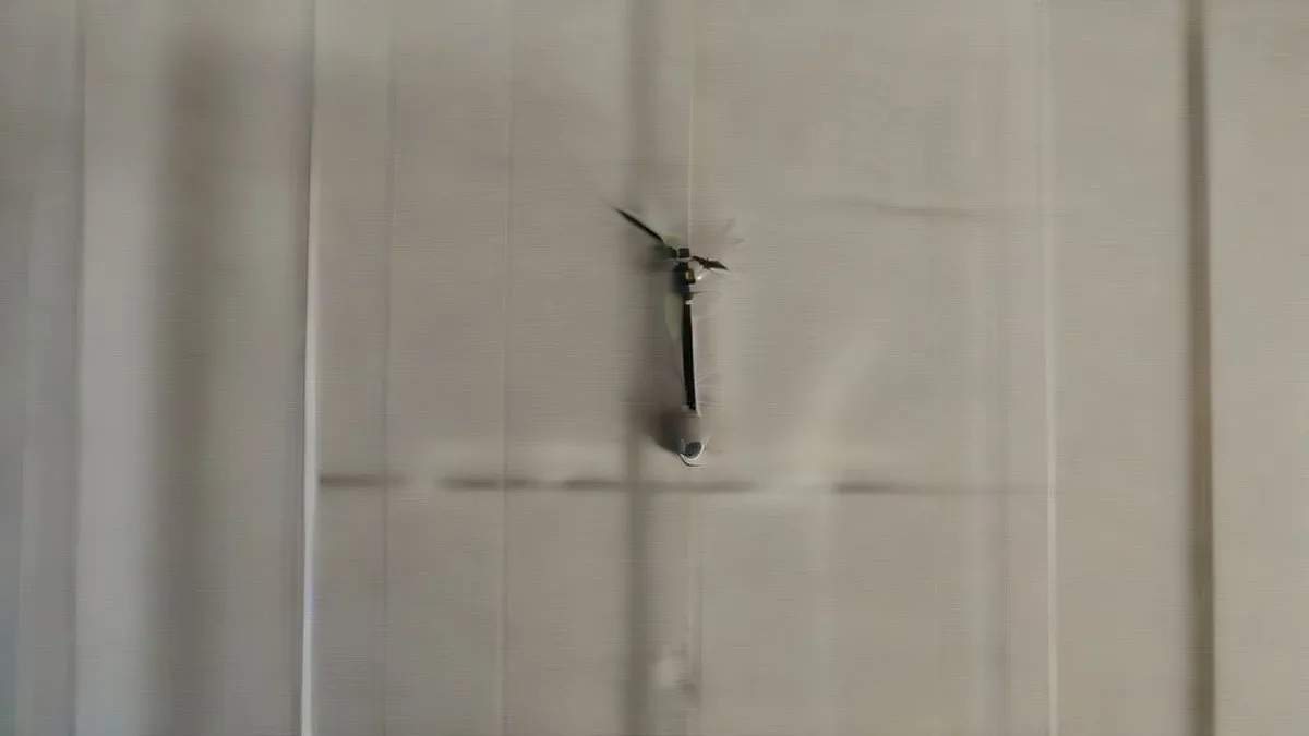 A close-up view of an analog clock face in daylight.