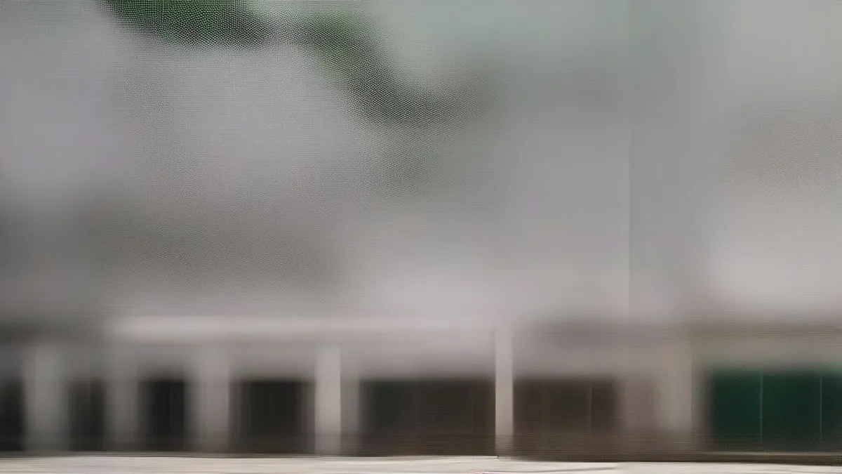 A residential street in a rural Indian village under overcast daylight