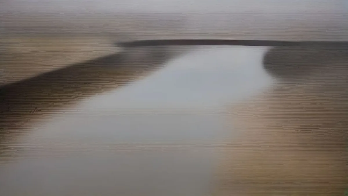 Wide view of the Yamuna River and bridge in New Delhi under overcast skies